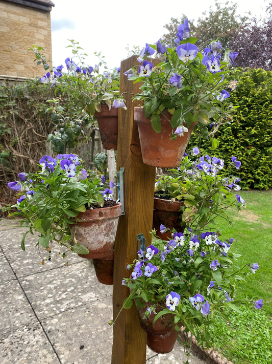 Universal Plant Pot Hangers - Set of 3